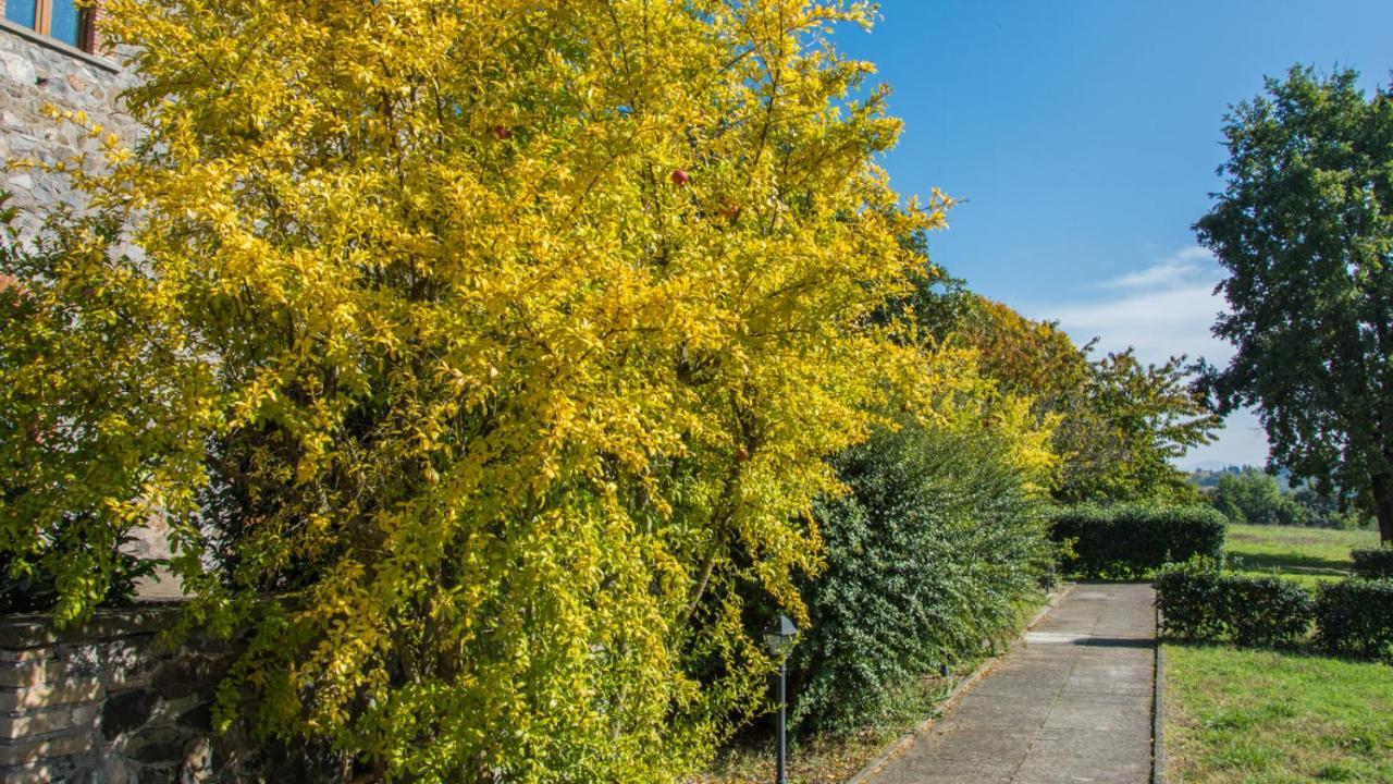 Villa Monteporzano Орвието Номер фото